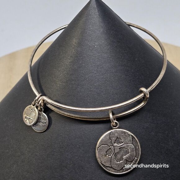 Authentic Alex & Ani Stepmom Silver Tone Expandable Charm Bracelet With Box. - Picture 11 of 11